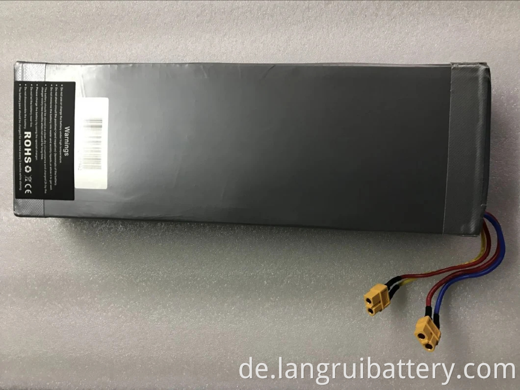 Customisierte Lithium-Ionen-E-Bike-Batterie 36V 10AH für Elektrofahrrad 360WH mit BMS im Inneren